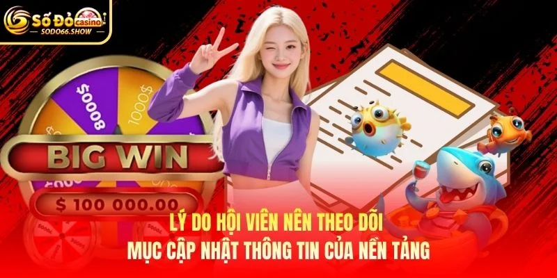 Lý do hội viên nên theo dõi mục cập nhật thông tin của nền tảng Lý do hội viên nên theo dõi mục cập nhật thông tin của nền tảng